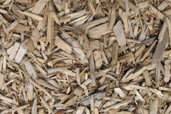 biomass boilers Rearquhar